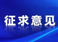 关于《海事政务服务指南（2022年版）（征求意见稿）》征求意见的通知